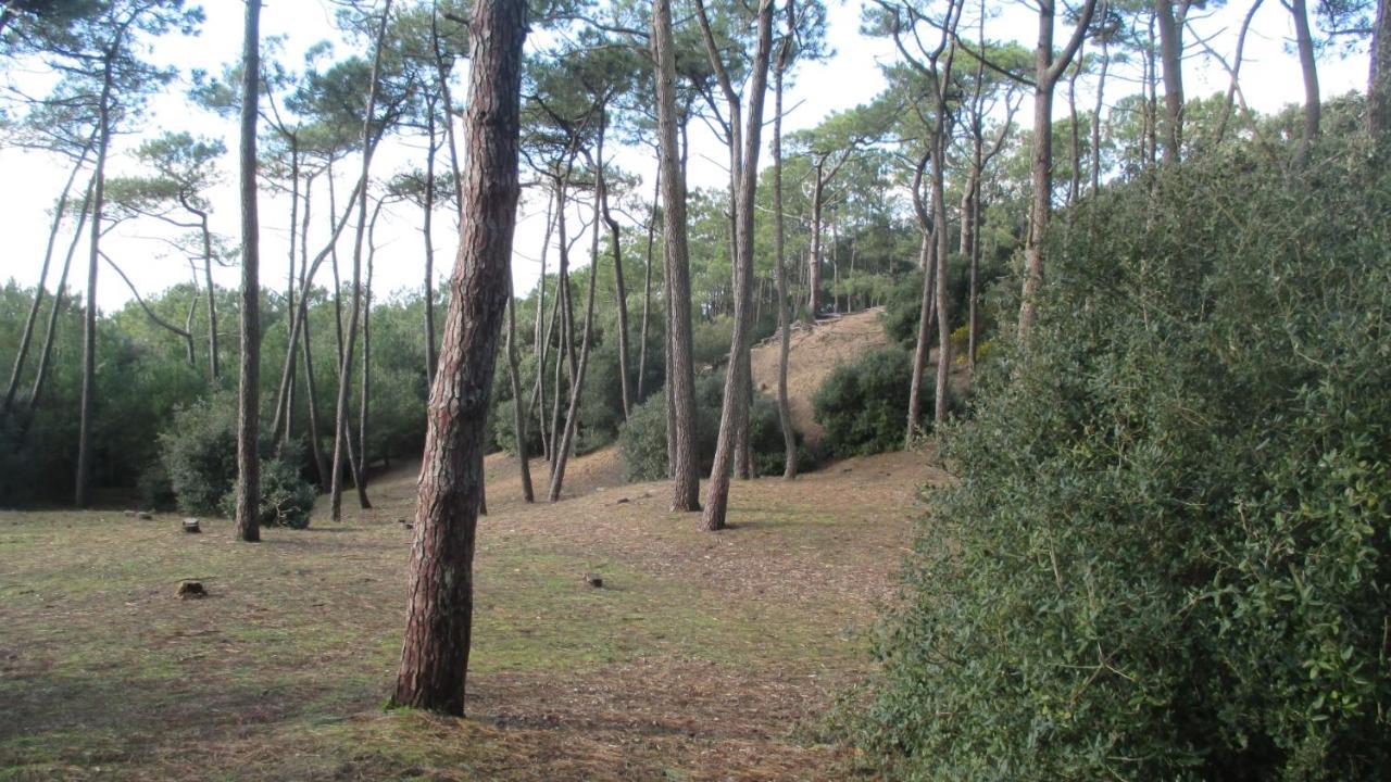 Holiday home Home-cosy - 6 Pers - 40 M2 3 Ch - 2 Sdb Et 2 Wc